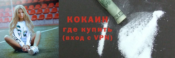 крисы Горняк