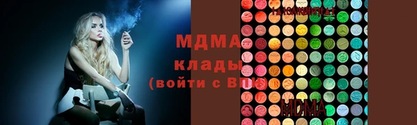 индика Вязьма