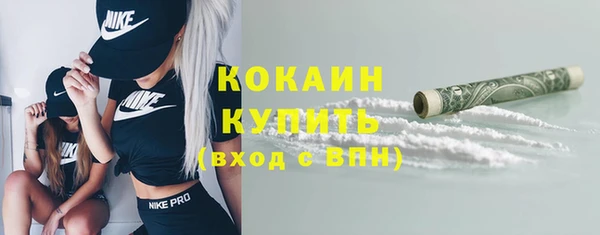 крисы Горняк